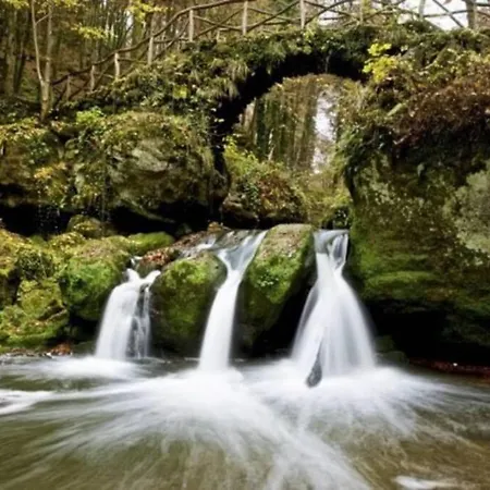 Les Maulau'x Hébergement de vacances